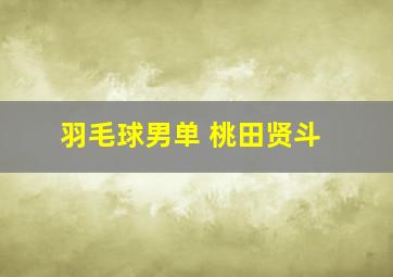 羽毛球男单 桃田贤斗